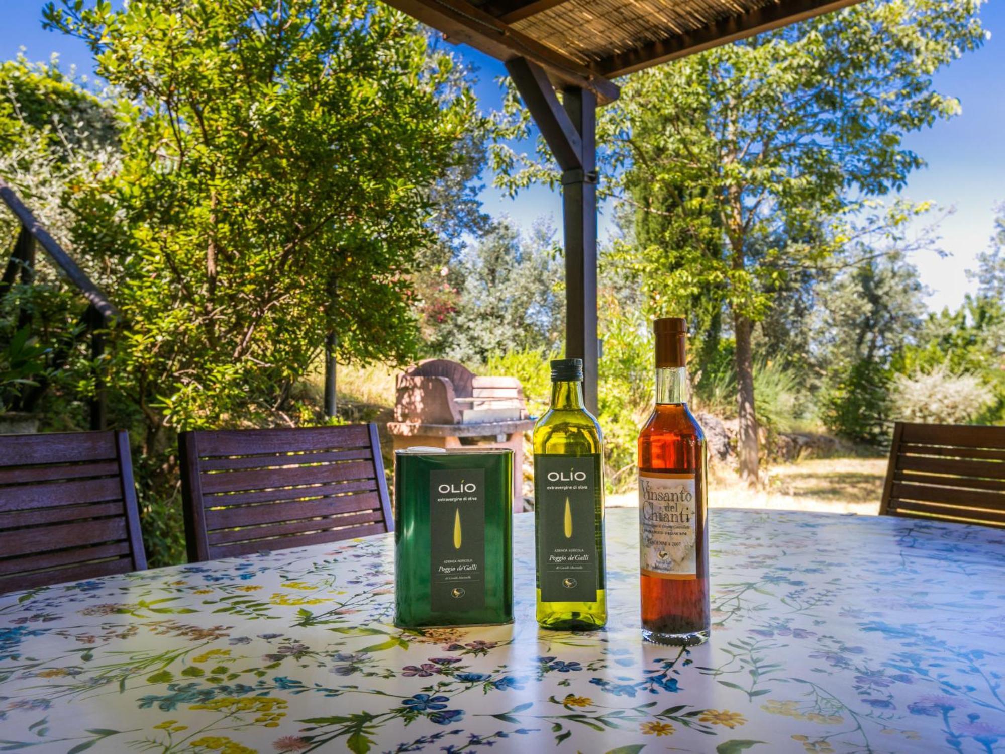 Holiday Home Poggio De'Galli By Interhome Pozzolatico Exterior foto